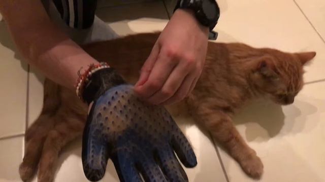 Перчатка для расчесывания животных - Pet Brush Glove