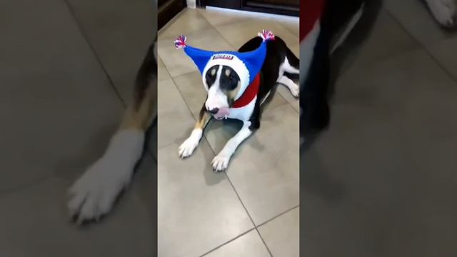 Шапки Триколор !!!