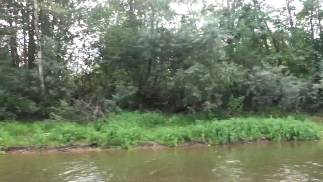 По реке на моторной лодке. Рысь.