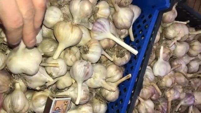 Чеснок Любаша. Продажа, урожай 2020 года.