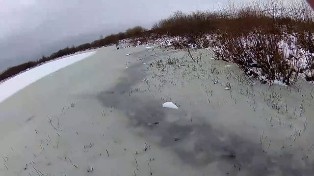 Охота на ондатру мордами, проверка2. Результат.