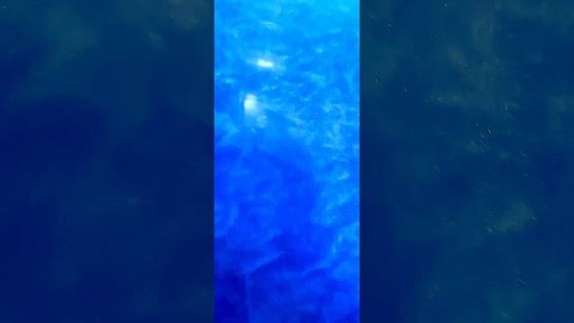 Вода с блеском