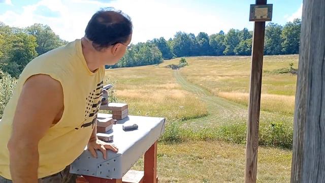 9mm Palmetto PX-9 at 200 yds • 18 inches