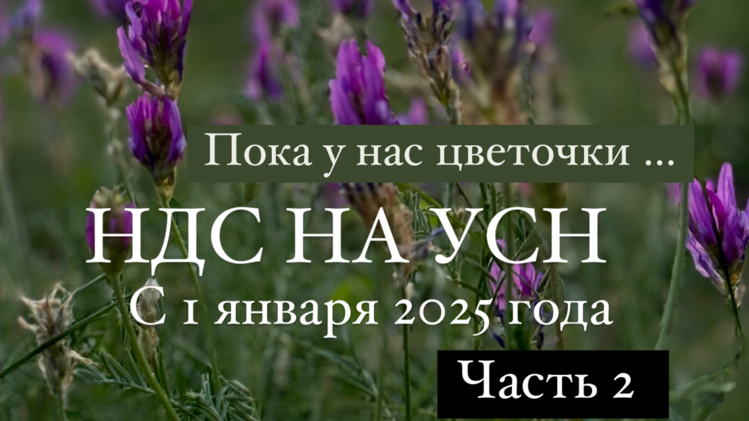 НДС на УСН с 1 января 2025 года . Что принесет реформа рассказывает бизнес наставник Марина Глебова