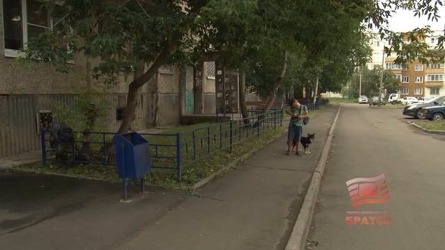 Жители Правого берега обратились в приемную мэра Братска  Какие поручения главы города были выполне