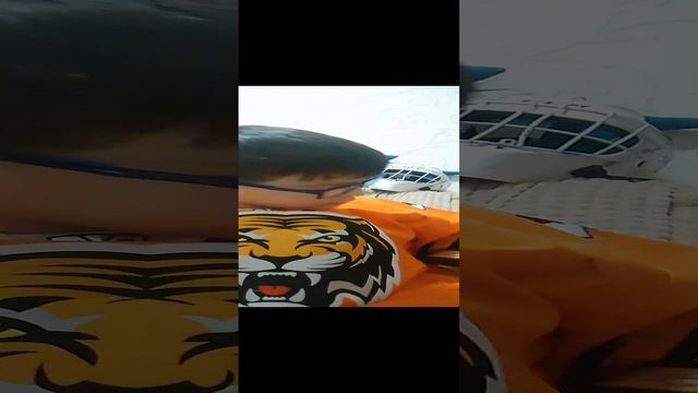 VID_20240119_232640.mp4
