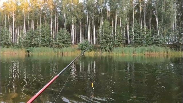 Рыбалка в забродах. Как есть без прикрас.