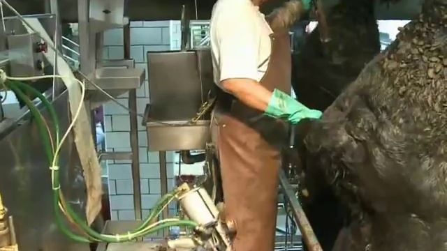 TWC-1. Tail Cutter. Jarvis España