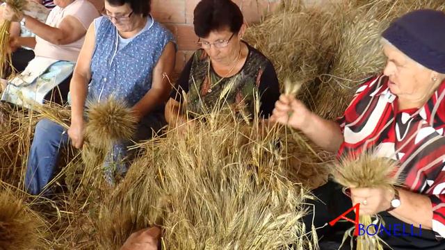 Video di Preparazione ai Cirii a devozione della Beata Vergine del Carmelo 16-17 Luglio 2014