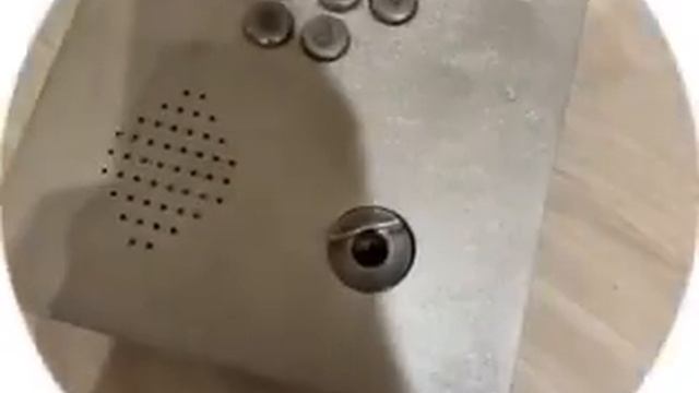 бархатные тяги мощные