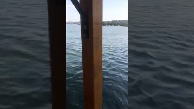 Бетти сделала смелый прыжок с лодки во время плавания по Босфору! 🌊🚤