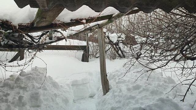 1000002631.mp4 штормовой ветер с снегом борьба с последствиями