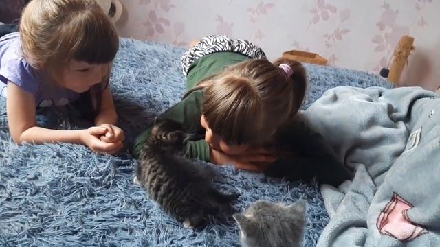 Дети весь день у меня. Теперь придётся выполнять желание. Столько времени работала и не знала где?