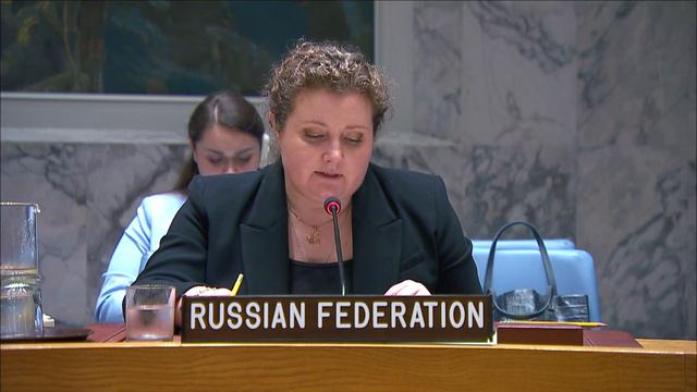 Statement by DPR Anna Evstigneeva at UNSC briefing on the Syrian chemical file (resolution 2118)