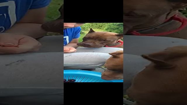 VID-20220715-WA0004.mp4