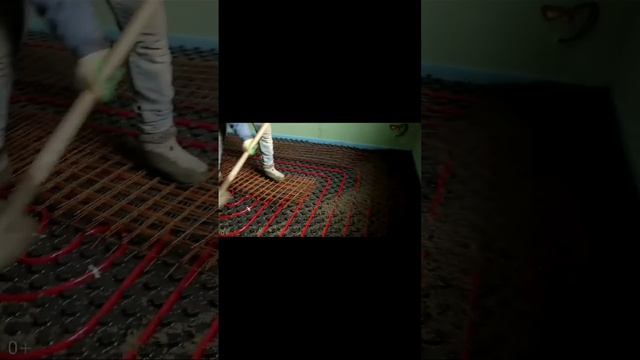 pro_pol_msk-12-05-2023-0001.mp4