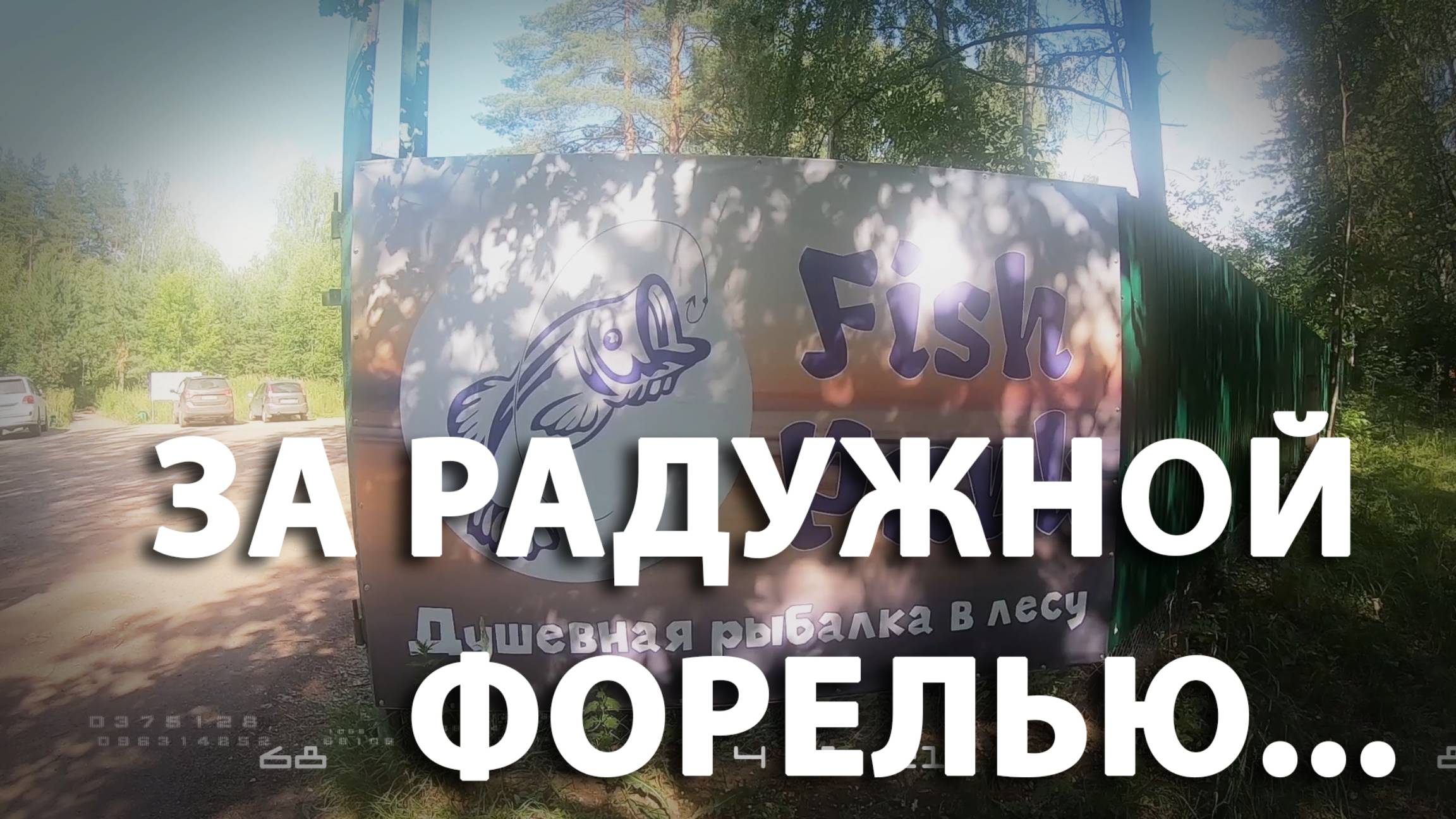 Ловля радужной форели. FishPark 08.07.2019.