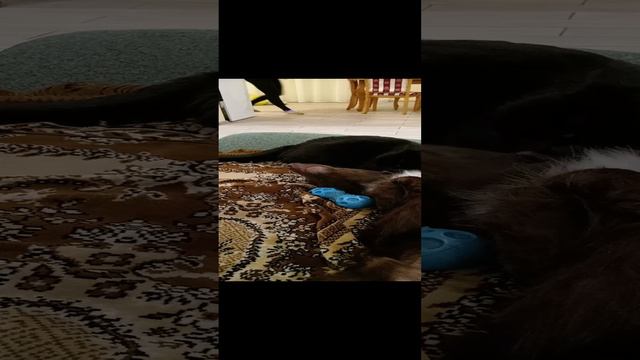 Это любовь!!!