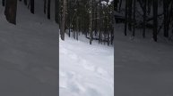 read the Michigan laws on snowmobile where and where not ?