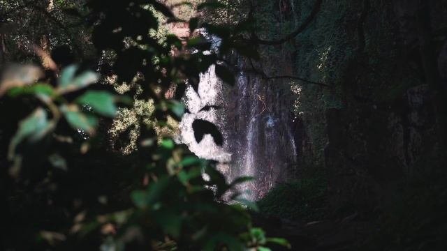 Vonnboyd-sway