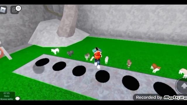 Топ два плейса в roblox как симулятор животных 🐇