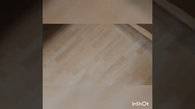 Щенки Джек Рассел терьер