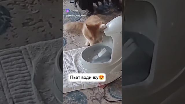 ох вкусно!!