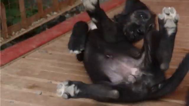 ВМЕСТЕ С МАМОЙ 2009Год..wmv