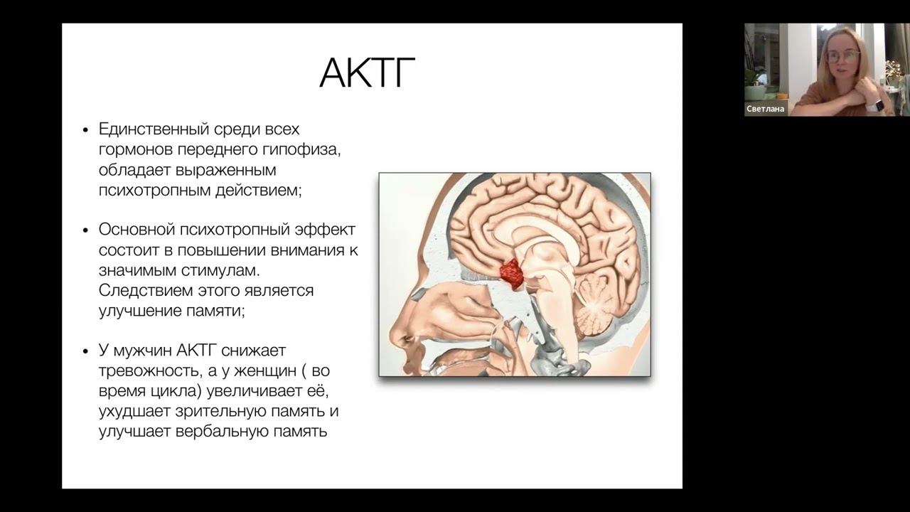 АКТГ | Профайлинг