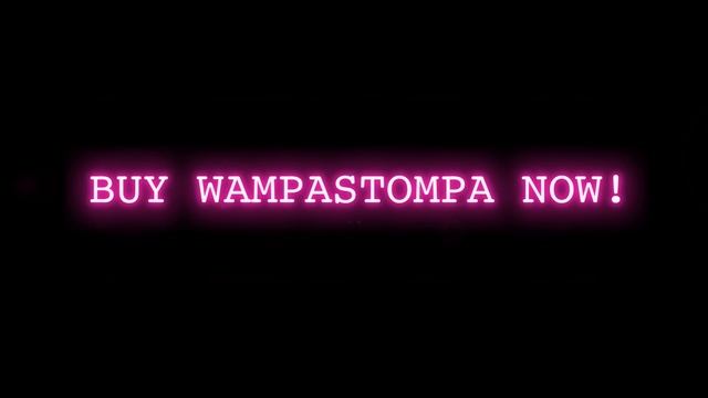 Wampa Stompa Cleaning Solutions
