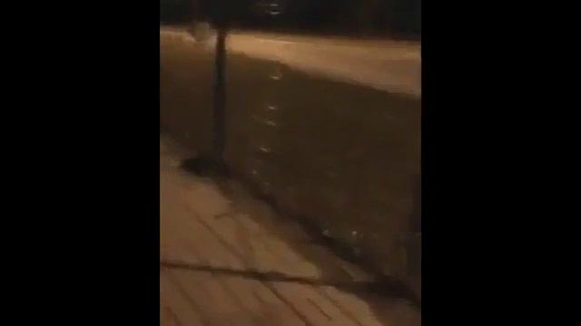 Ору видео