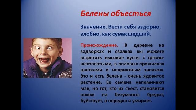 26 05 2020 Русский язык 5класс