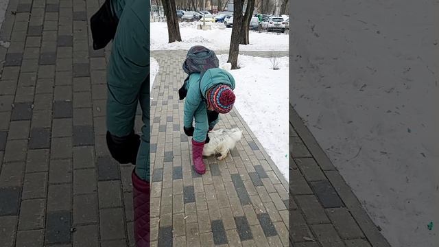 Трюки на прогулке зимой, важно!