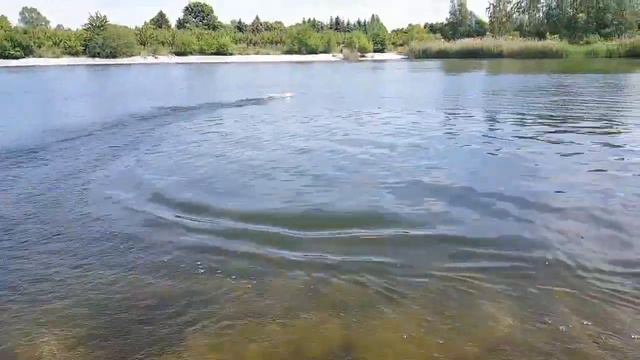 Fei lun RC Racing Boat Boot  FT009 Pohritzsch 2017