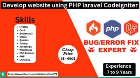 Build a Website with Laravel PHP Framework | php CodeIgniter | Website Developer | #ordernow