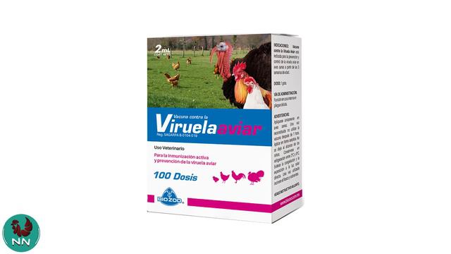 3 vacunas importantes que deben de tener tus pollitos.