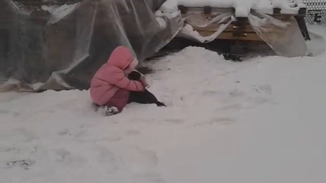 девочка и маленький щенок хаски