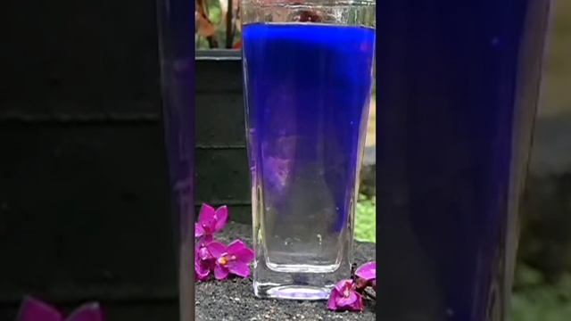 lumix 4k camera nature slow motion.panasonic lumix fz 82