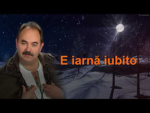 N.Paliț "E iarnă iubito".