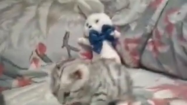 video-2013-03-25-19-34-24