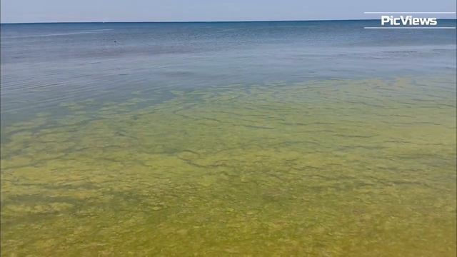 Погода в Анапе сегодня 22 мая 2024. Анапа. Центральный пляж. Чёрное море. Отдых и сезон в Анапе 2024