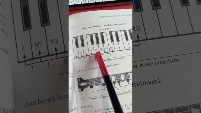 Почему на пианино есть черные и белые клавиши. Теория музыки