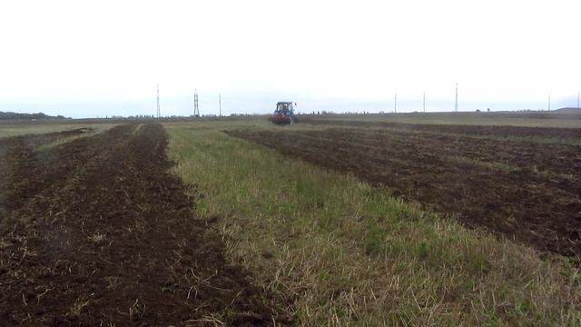 Борона дисковая БДМ 2,1х2КС  с трактором Беларус 82