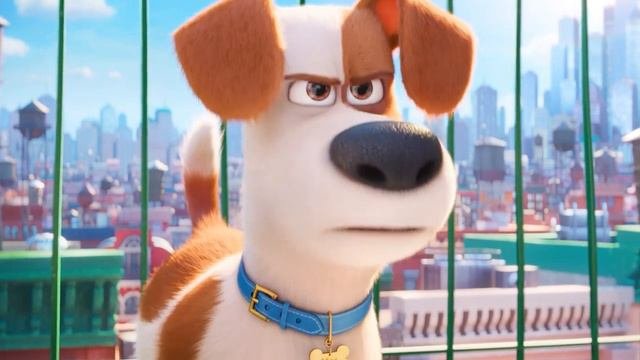 The Secret Life Of Pets || Coffin Dance Song (COVER)