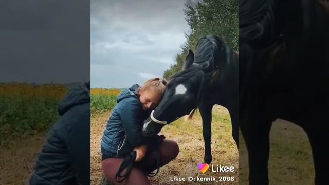 лошадь поцеловала хозяйку