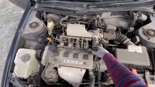 Toyota, Corolla Ceres, AE101 , 4A FE , A245E  04A, Темно Синий 8G5, 1994, М716
