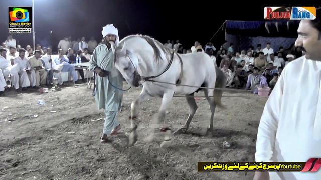 Ustad Zaka ullah ll Sada Bahar Mola Baksh  l Horse Dance Jalla Bala Shaiwal Sargodha ll 20 May 2023