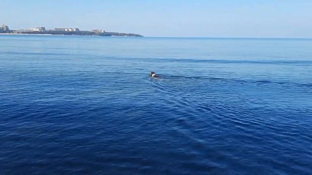 ДОБРОГО УТРА 30.06.2021...))))!!!
