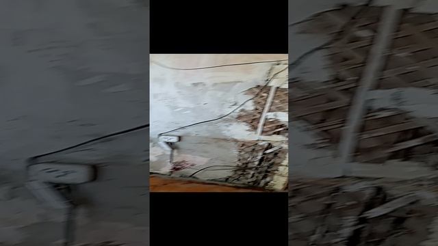 VID_20231022_114643.mp4