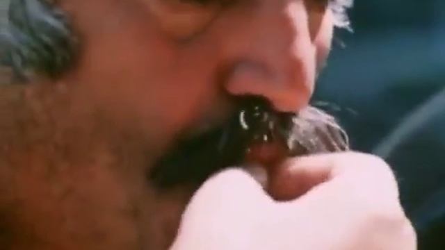 Прикол про грибы и собаку